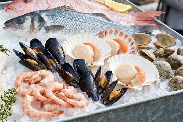 Fish & Shellfish