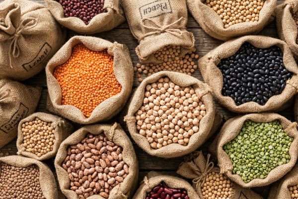 Legumes