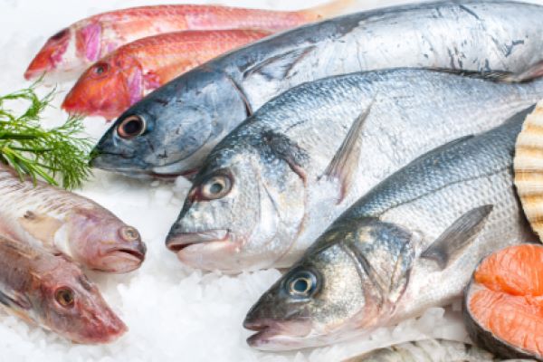 Fish