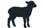 Lamb