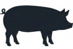Pork