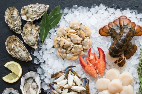 Shellfish