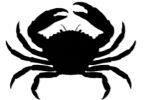Shellfish